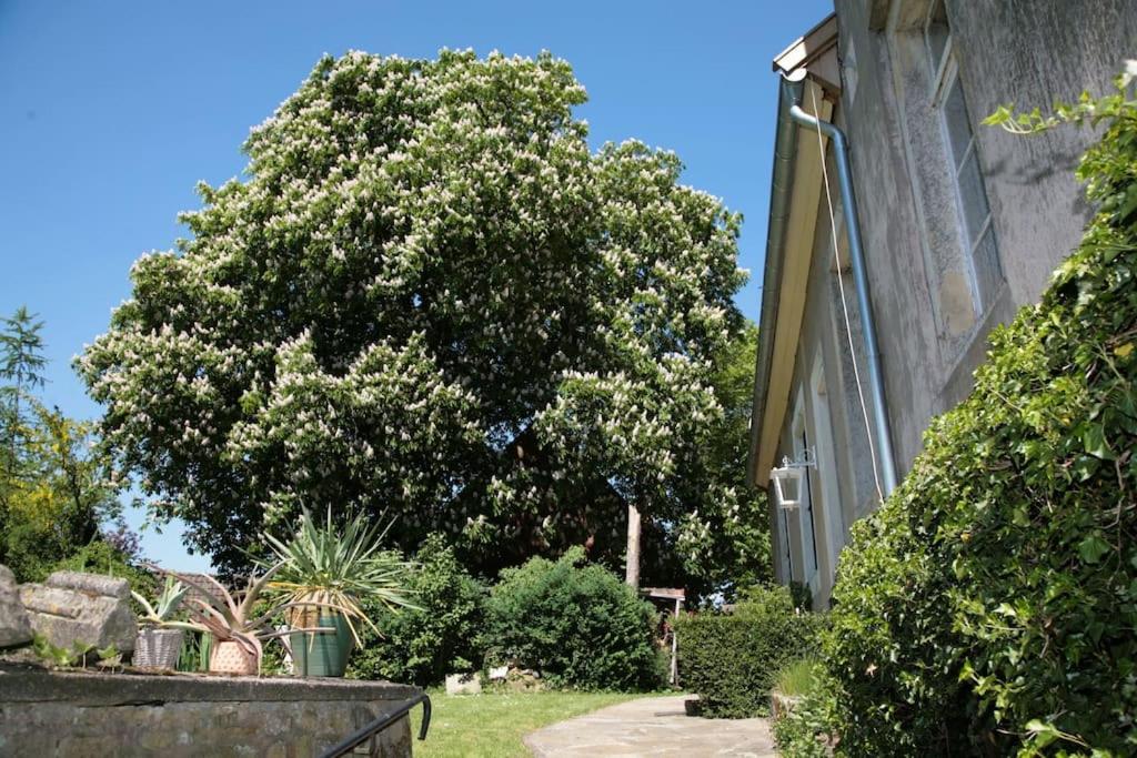Haus Keppelborg: Zi Ferdinand Mit Rosengartenblick Heek エクステリア 写真